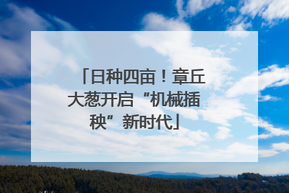 日种四亩！章丘大葱开启“机械插秧”新时代