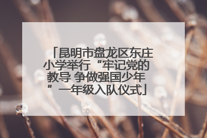 昆明市盘龙区东庄小学举行“牢记党的教导 争做强国少年”一年级入队仪式