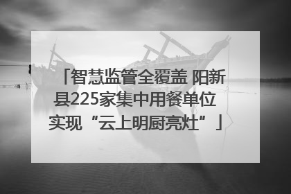 智慧监管全覆盖 阳新县225家集中用餐单位实现“云上明厨亮灶”