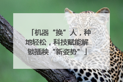机器“换”人，种地轻松，科技赋能解锁插秧“新姿势”