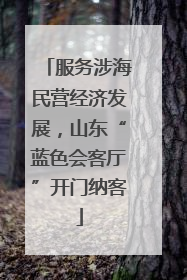 服务涉海民营经济发展，山东“蓝色会客厅”开门纳客