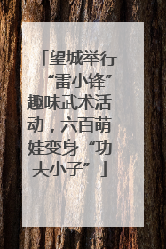 望城举行“雷小锋”趣味武术活动，六百萌娃变身“功夫小子”