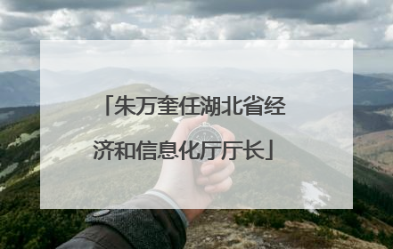 朱万奎任湖北省经济和信息化厅厅长