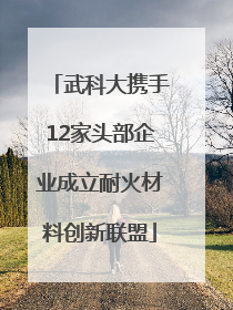 武科大携手12家头部企业成立耐火材料创新联盟