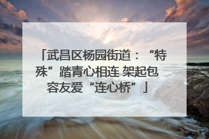 武昌区杨园街道：“特殊”踏青心相连 架起包容友爱“连心桥”