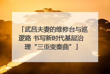 武昌夫妻的维修台与巡逻路 书写新时代基层治理“三重变奏曲”