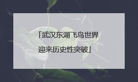 武汉东湖飞鸟世界迎来历史性突破