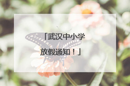 武汉中小学放假通知！