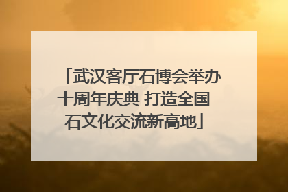 武汉客厅石博会举办十周年庆典 打造全国石文化交流新高地