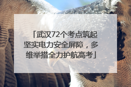 武汉72个考点筑起坚实电力安全屏障，多维举措全力护航高考