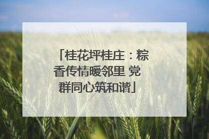 桂花坪桂庄：粽香传情暖邻里 党群同心筑和谐