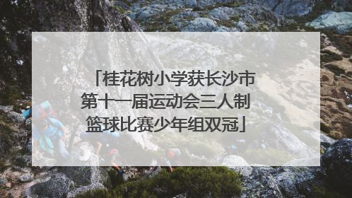 桂花树小学获长沙市第十一届运动会三人制篮球比赛少年组双冠