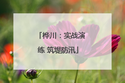 桦川：实战演练 筑堤防汛