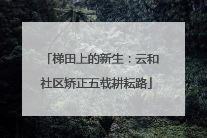 梯田上的新生：云和社区矫正五载耕耘路