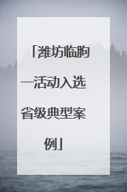 潍坊临朐一活动入选省级典型案例