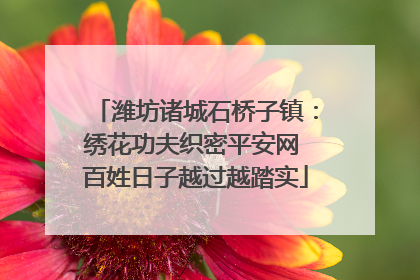 潍坊诸城石桥子镇：绣花功夫织密平安网 百姓日子越过越踏实