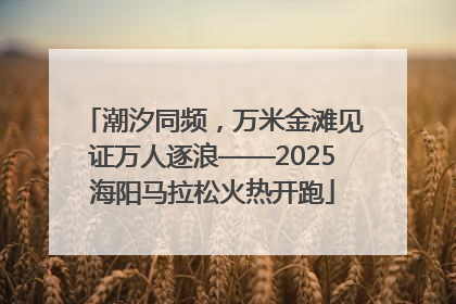 潮汐同频，万米金滩见证万人逐浪——2025海阳马拉松火热开跑