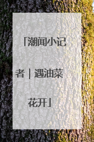 潮闻小记者｜遇油菜花开