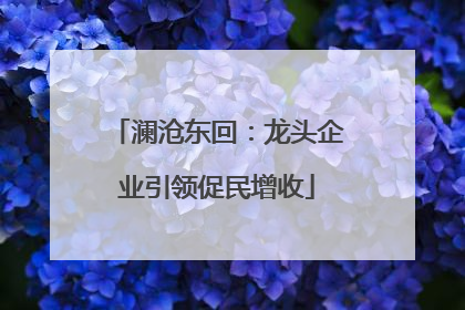 澜沧东回：龙头企业引领促民增收
