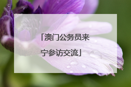 澳门公务员来宁参访交流