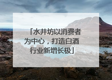 水井坊以消费者为中心，打造白酒行业新增长极