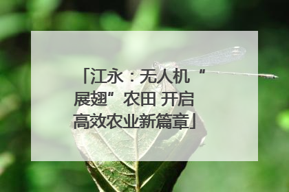 江永：无人机“展翅”农田 开启高效农业新篇章