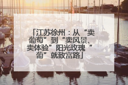 江苏徐州：从“卖葡萄”到“卖风景、卖体验”阳光玫瑰“葡”就致富路