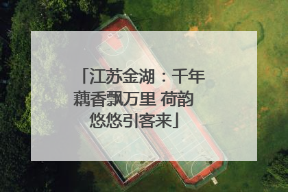 江苏金湖：千年藕香飘万里 荷韵悠悠引客来