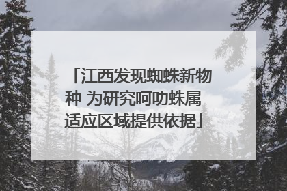 江西发现蜘蛛新物种 为研究呵叻蛛属适应区域提供依据