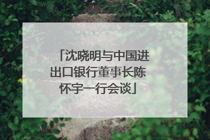 沈晓明与中国进出口银行董事长陈怀宇一行会谈