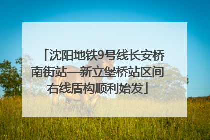 沈阳地铁9号线长安桥南街站—新立堡桥站区间右线盾构顺利始发