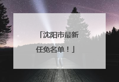 沈阳市最新任免名单！