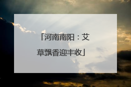 河南南阳：艾草飘香迎丰收