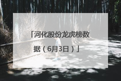 河化股份龙虎榜数据（6月3日）
