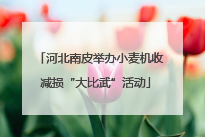 河北南皮举办小麦机收减损“大比武”活动