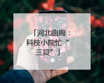 河北曲周：科技小院忙“三夏”