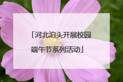 河北泊头开展校园端午节系列活动