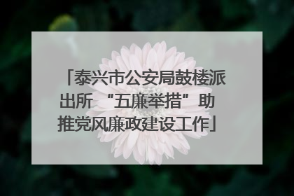 泰兴市公安局鼓楼派出所 “五廉举措”助推党风廉政建设工作