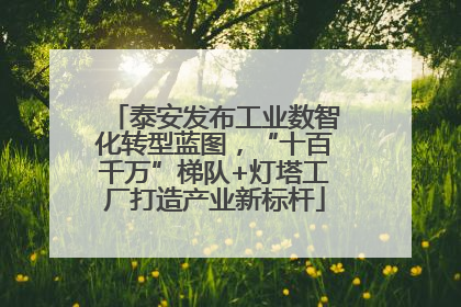 泰安发布工业数智化转型蓝图，“十百千万”梯队+灯塔工厂打造产业新标杆