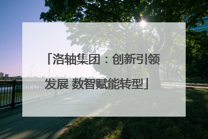洛轴集团：创新引领发展 数智赋能转型