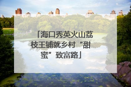 海口秀英火山荔枝王铺就乡村“甜蜜”致富路