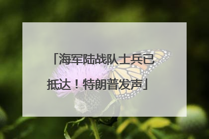 海军陆战队士兵已抵达！特朗普发声