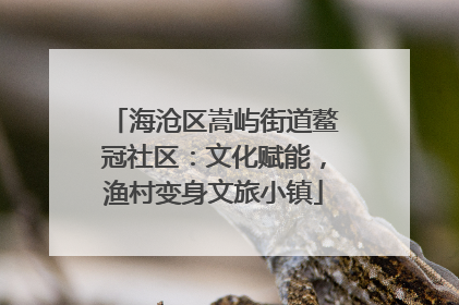 海沧区嵩屿街道鳌冠社区：文化赋能，渔村变身文旅小镇