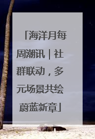 海洋月每周潮讯｜社群联动，多元场景共绘蔚蓝新章