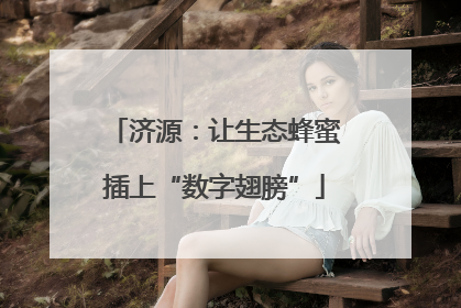 济源：让生态蜂蜜插上“数字翅膀”