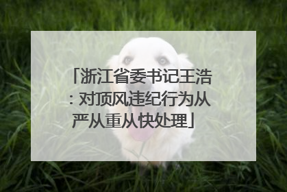 浙江省委书记王浩：对顶风违纪行为从严从重从快处理