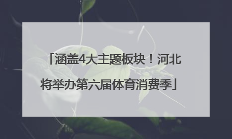 涵盖4大主题板块！河北将举办第六届体育消费季
