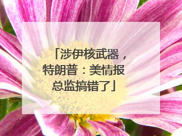涉伊核武器，特朗普：美情报总监搞错了