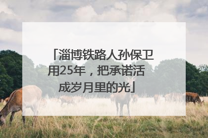 淄博铁路人孙保卫用25年，把承诺活成岁月里的光