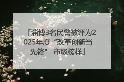 淄博3名民警被评为2025年度“改革创新当先锋” 市级榜样